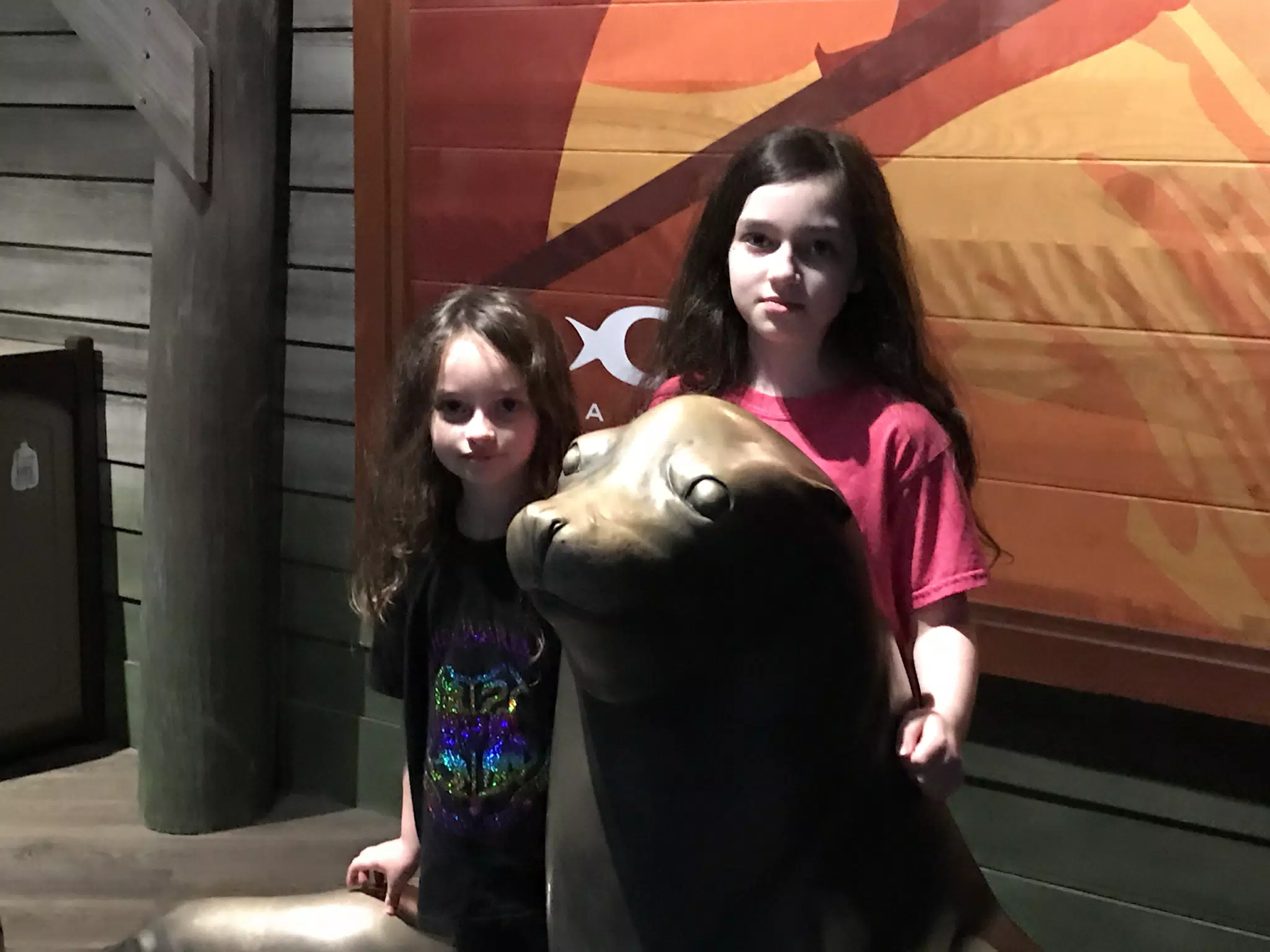 Georgia Aquarium