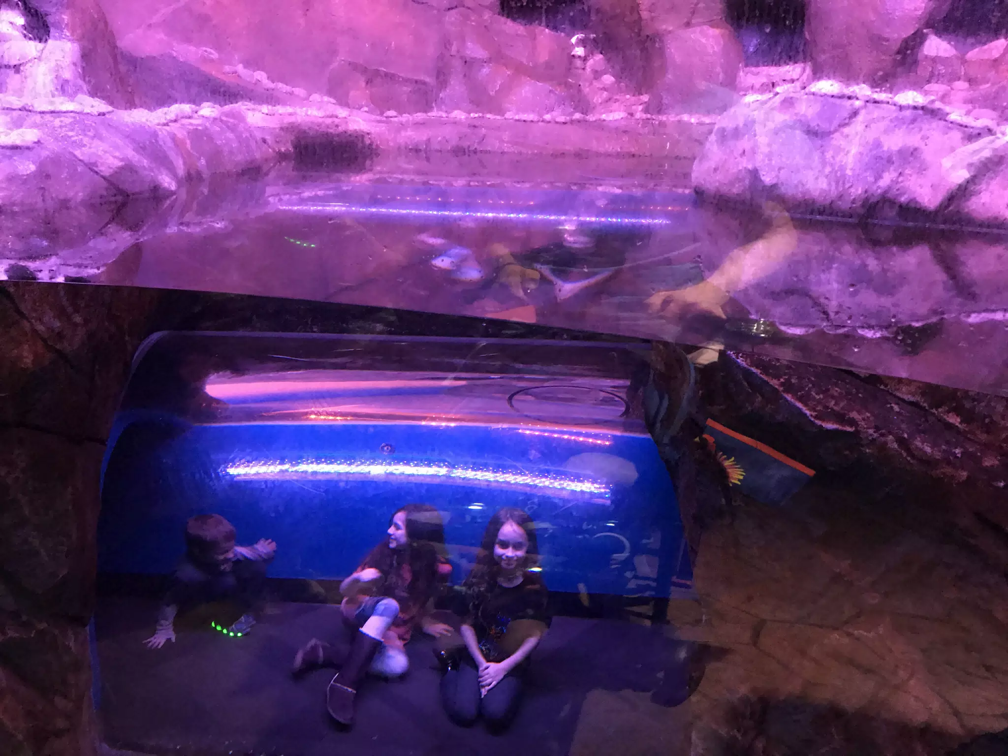 Georgia Aquarium