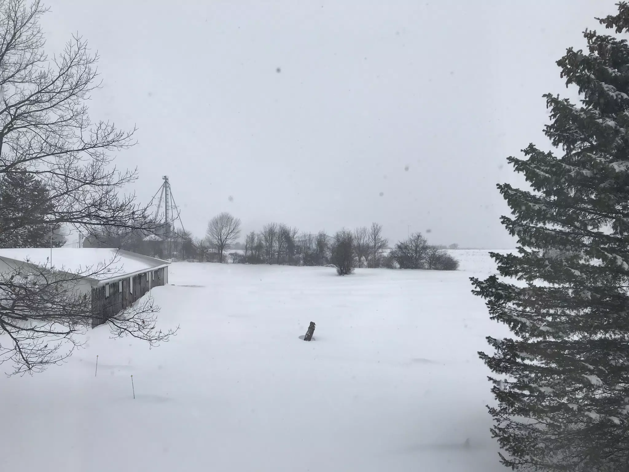 Winter in NY