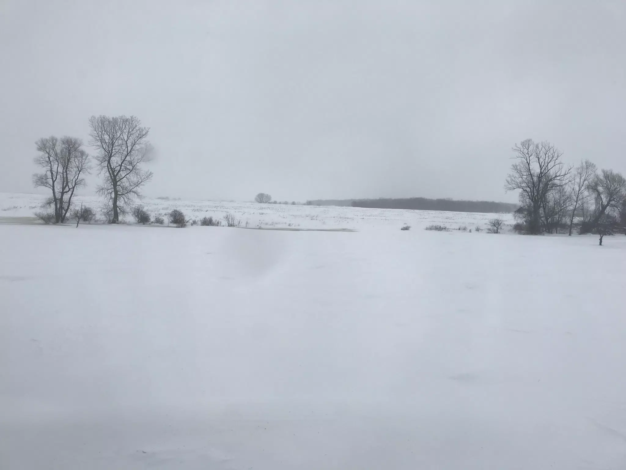 Winter in NY