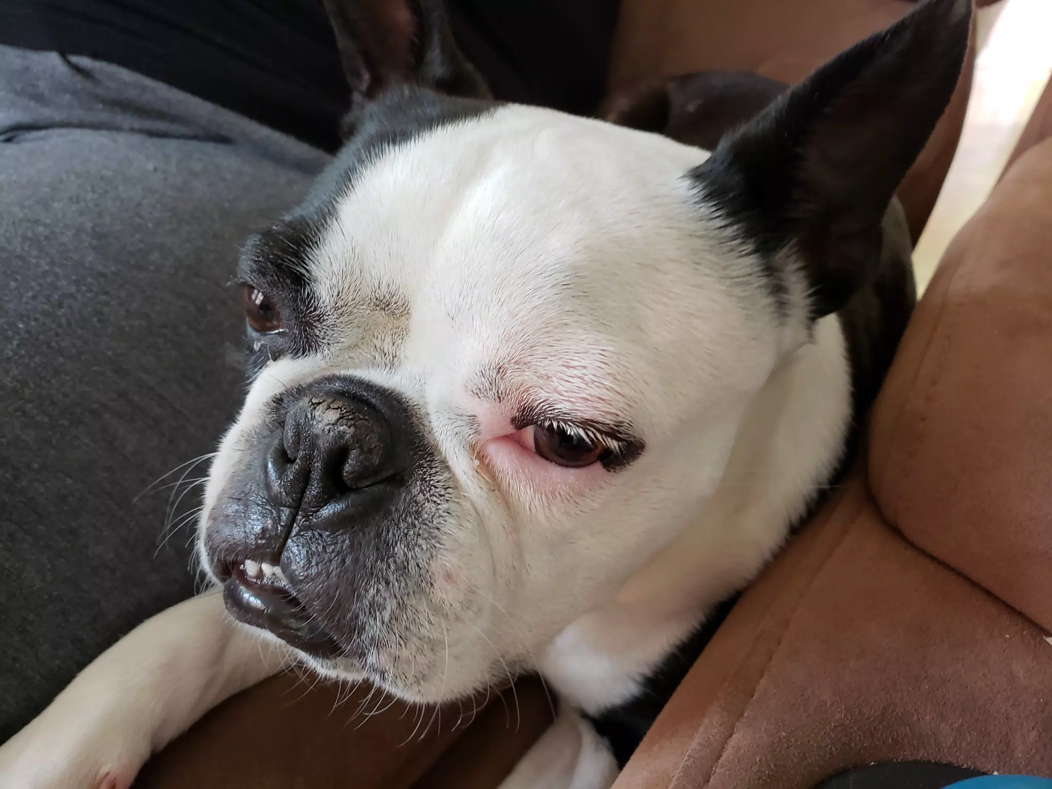 20180513_115305