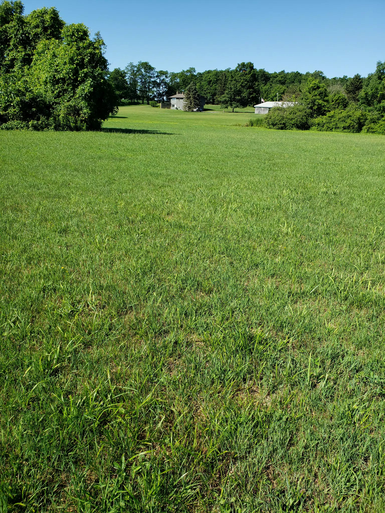 20180707_095348