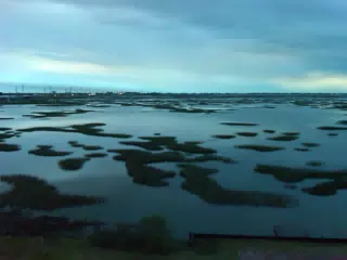 First Morning in Texas