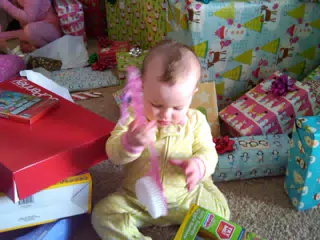 Liesl Stealing Madelines Back Brush