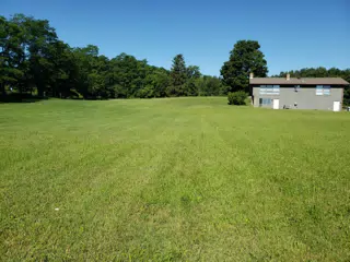 Childhood Backyard