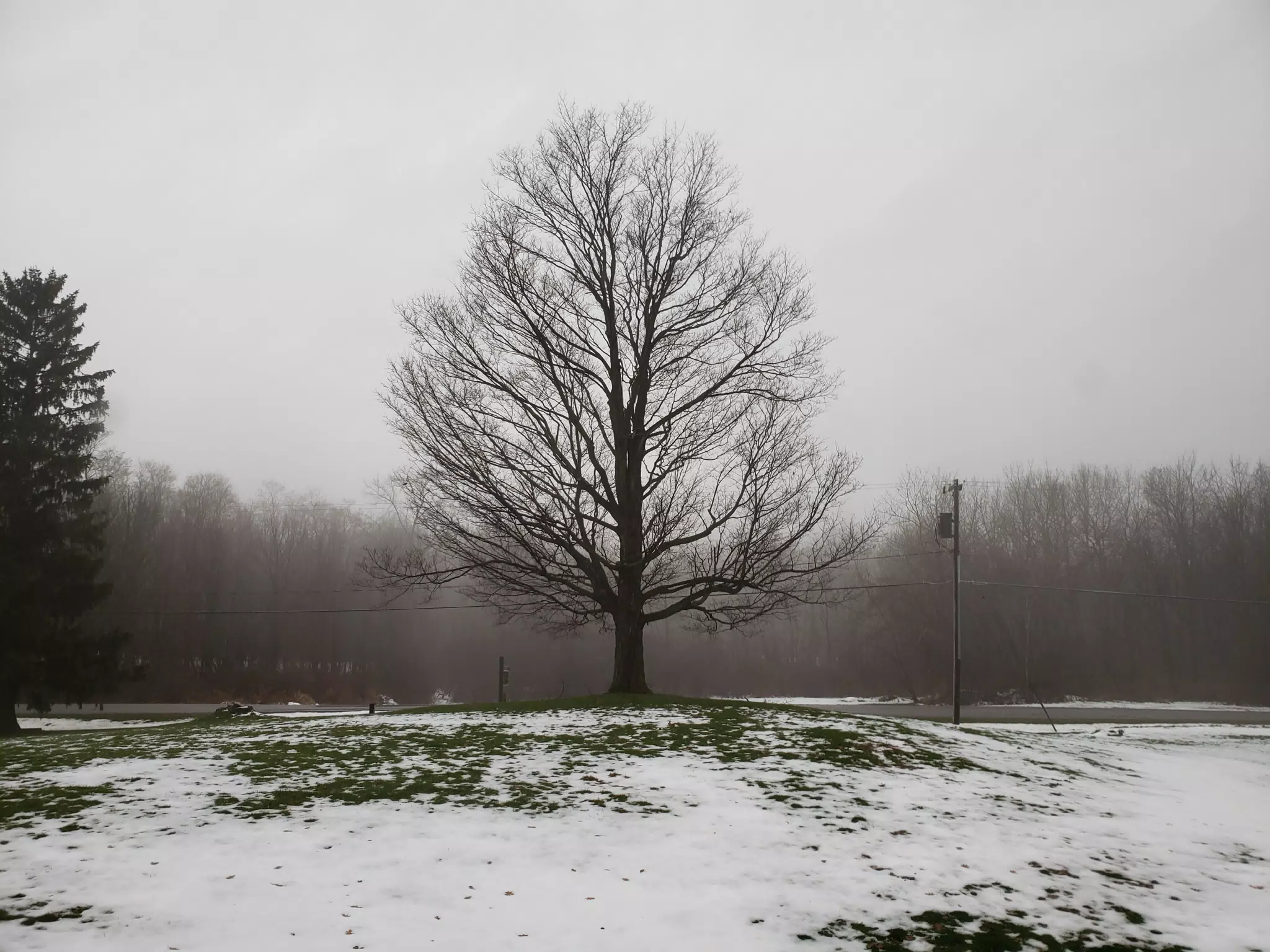 20181126_082655