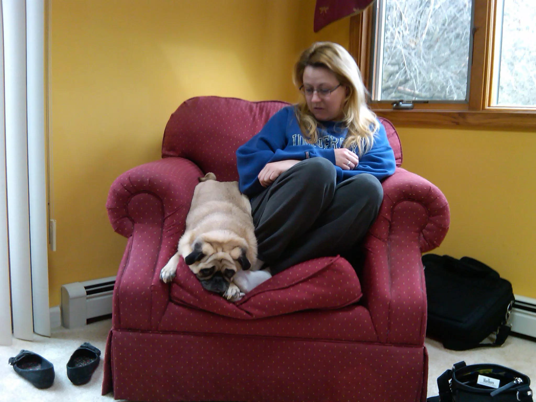 Ceaser Snuggling on Chair