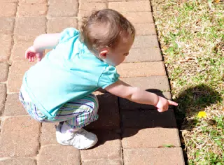 Liesl Showing Us the Dandelion