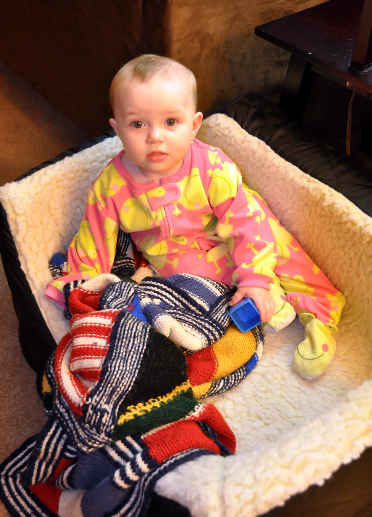 Liesl Steals Oreos Bed