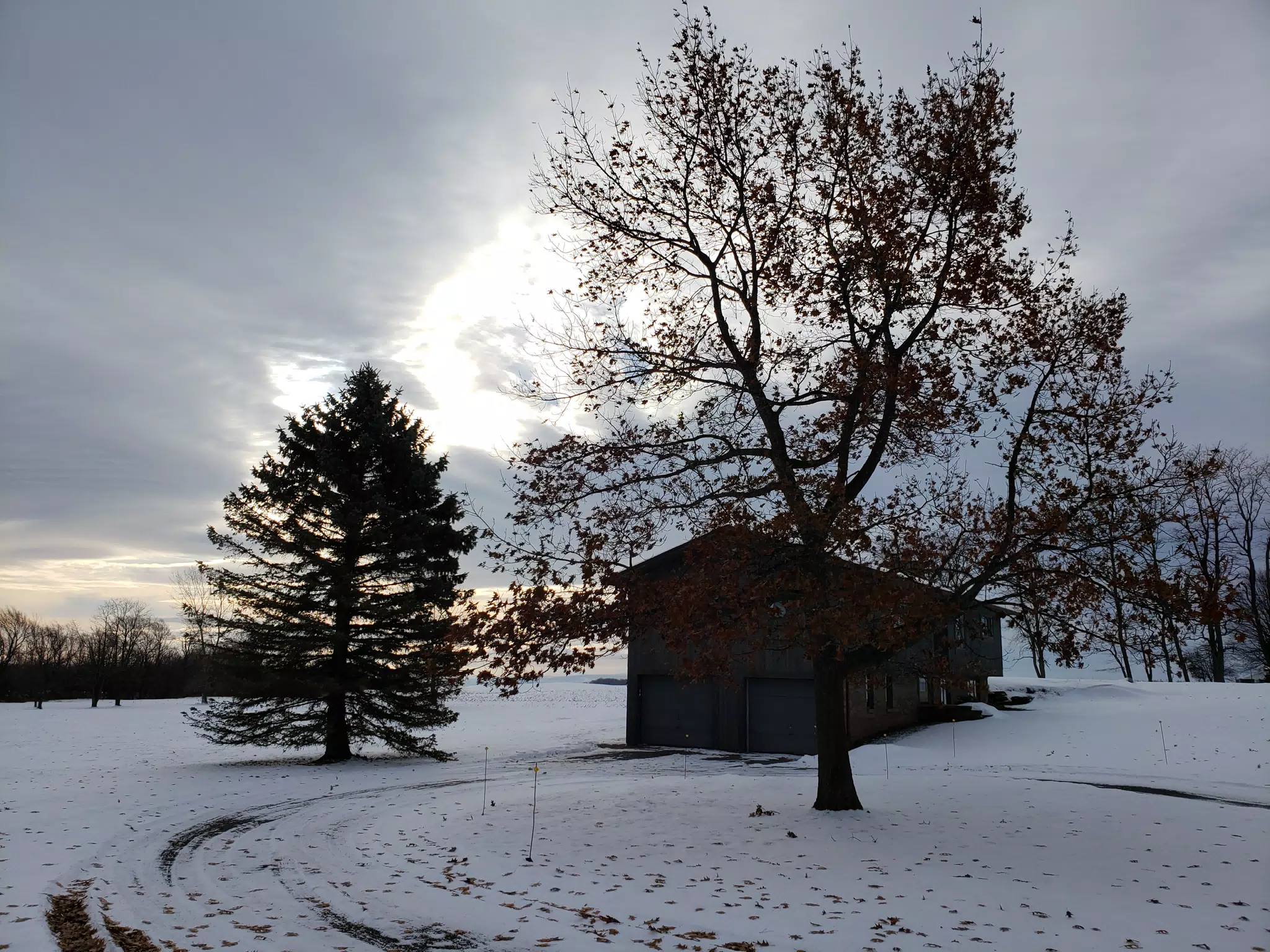 20181124_091412