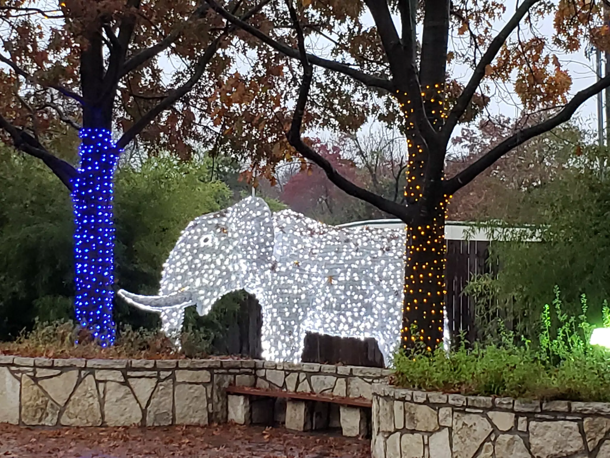 20181207_164656