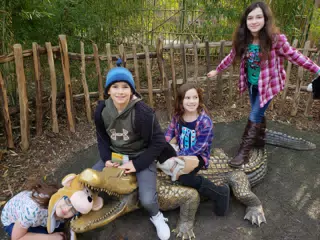 Cousing on Bronze Alligator