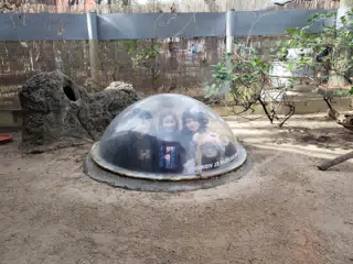 In the Bubble at the Dallas Zoo