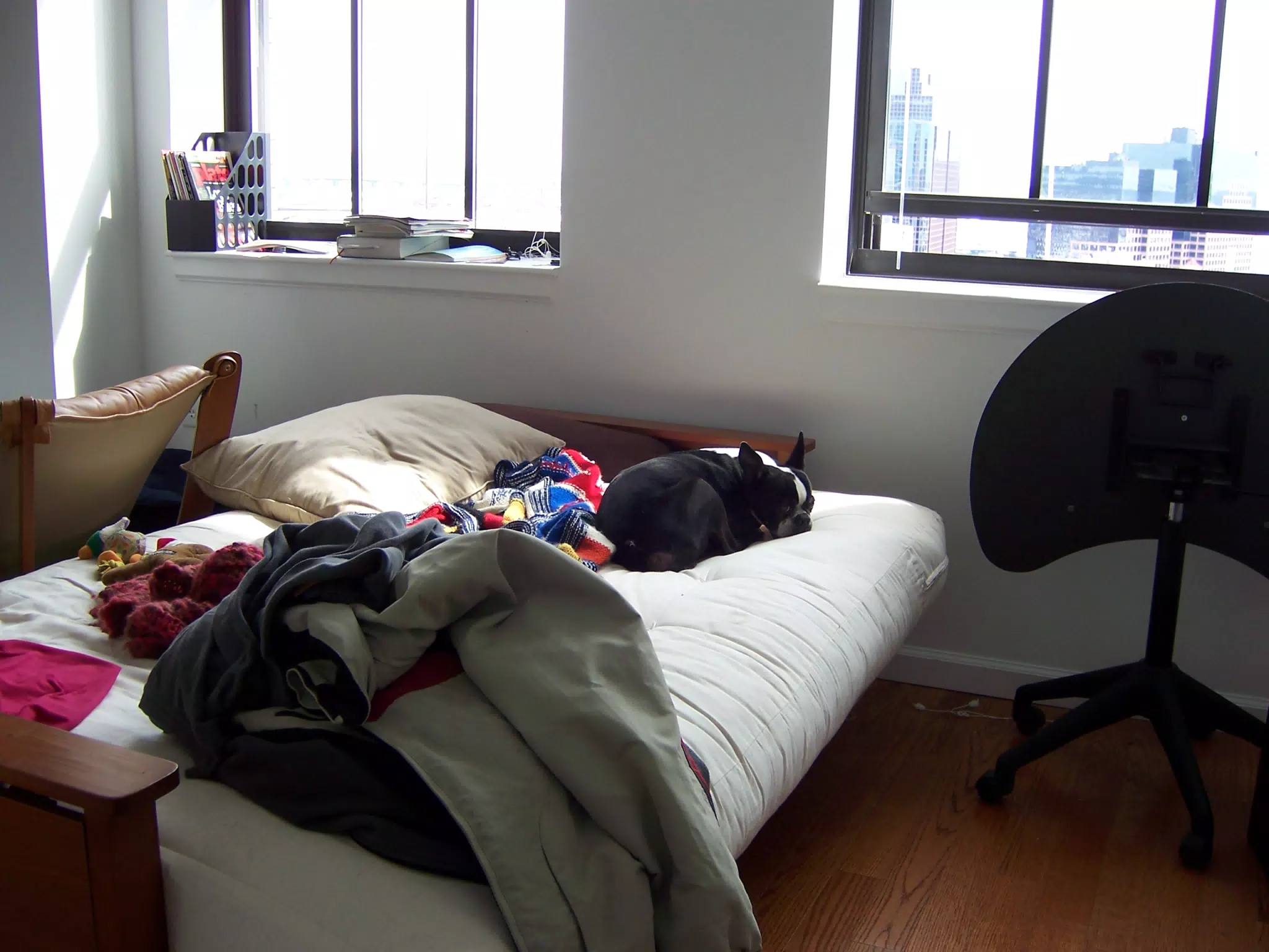Oreo Sleeping on the Futon