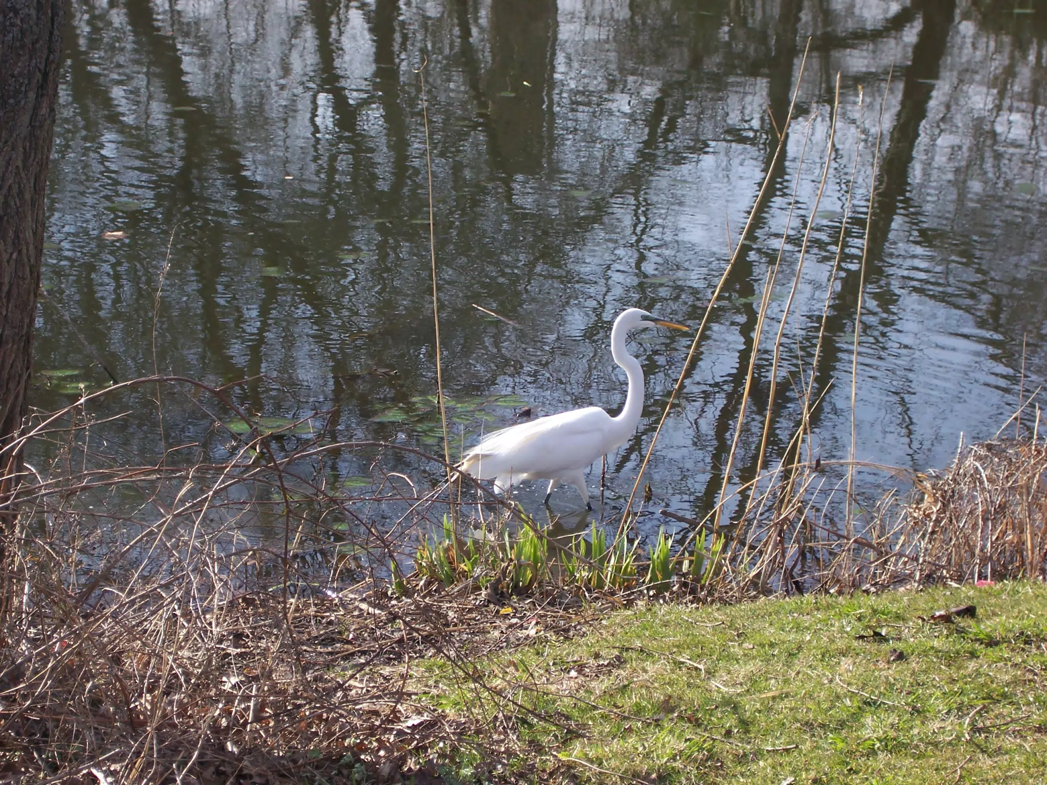 Crane in Branch Brook Park, Newark, New Jersey