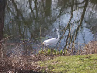 Crane in Branch Brook Park, Newark, New Jersey