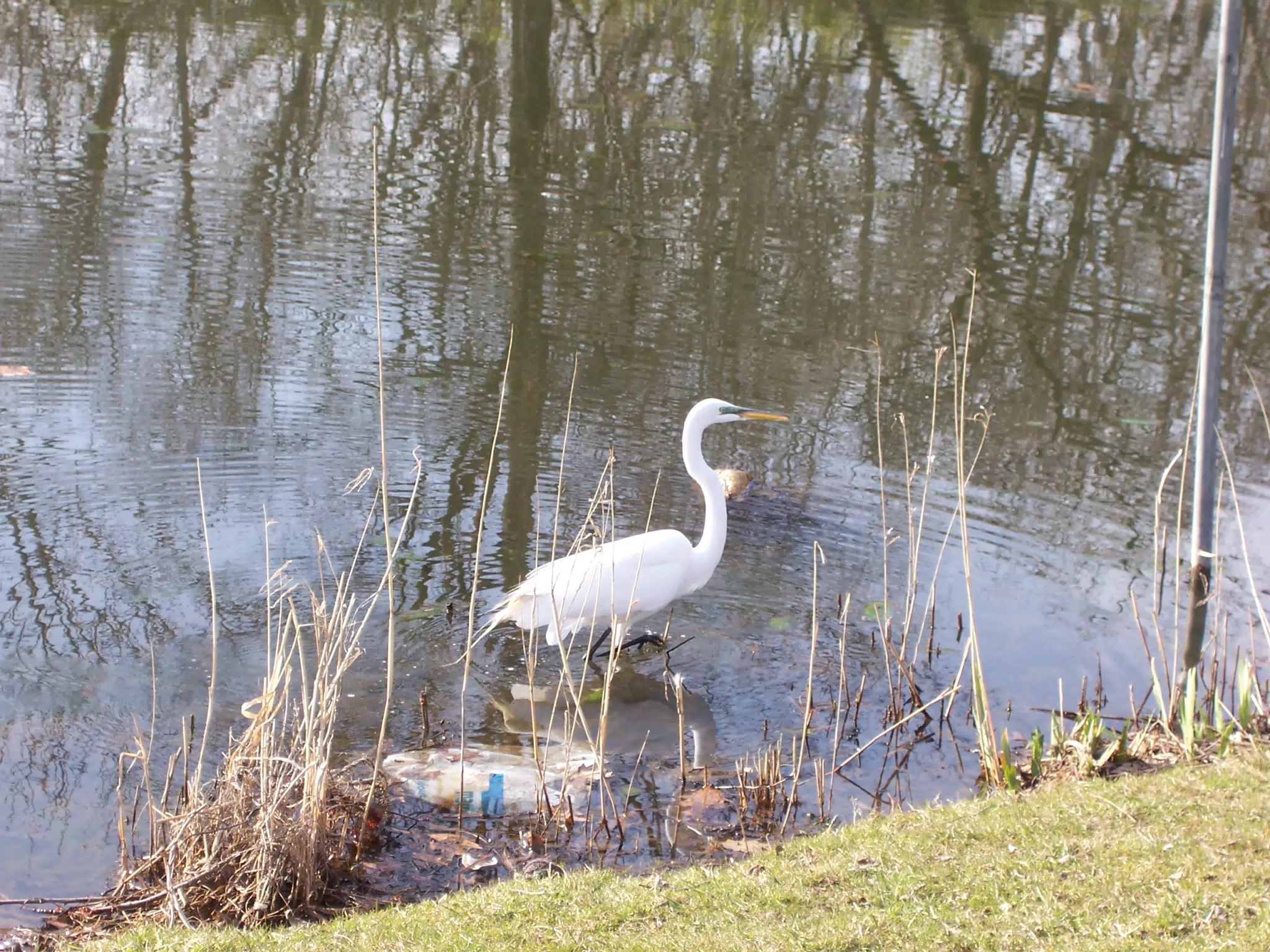 Crane in Branch Brook Park, Newark, New Jersey