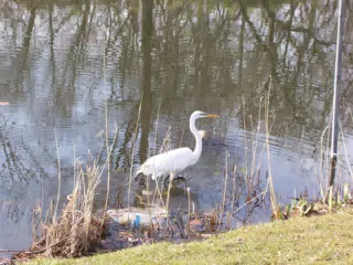 Crane in Branch Brook Park, Newark, New Jersey