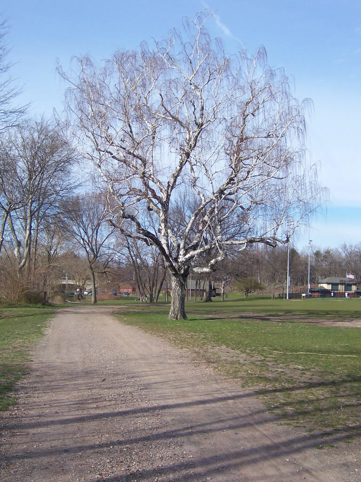 Branch Brook Park, Newark, New Jersey