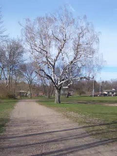 Branch Brook Park, Newark, New Jersey