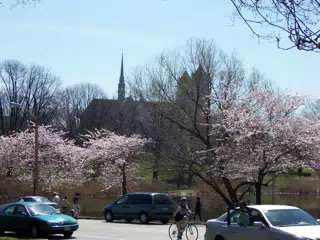Branch Brook Park, Newark, New Jersey
