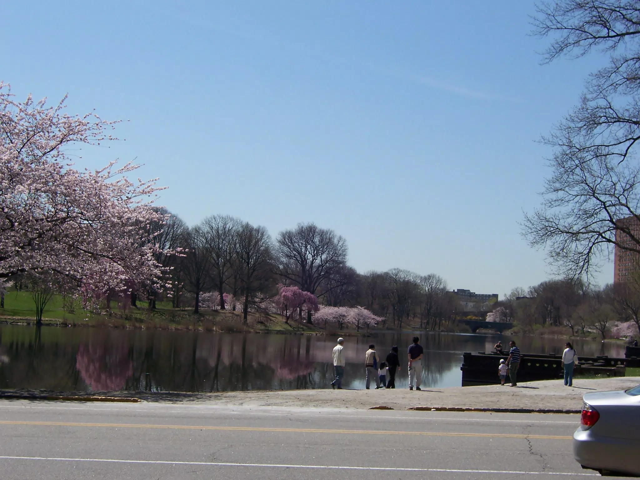 Branch Brook Park, Newark, New Jersey