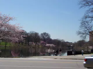 Branch Brook Park, Newark, New Jersey