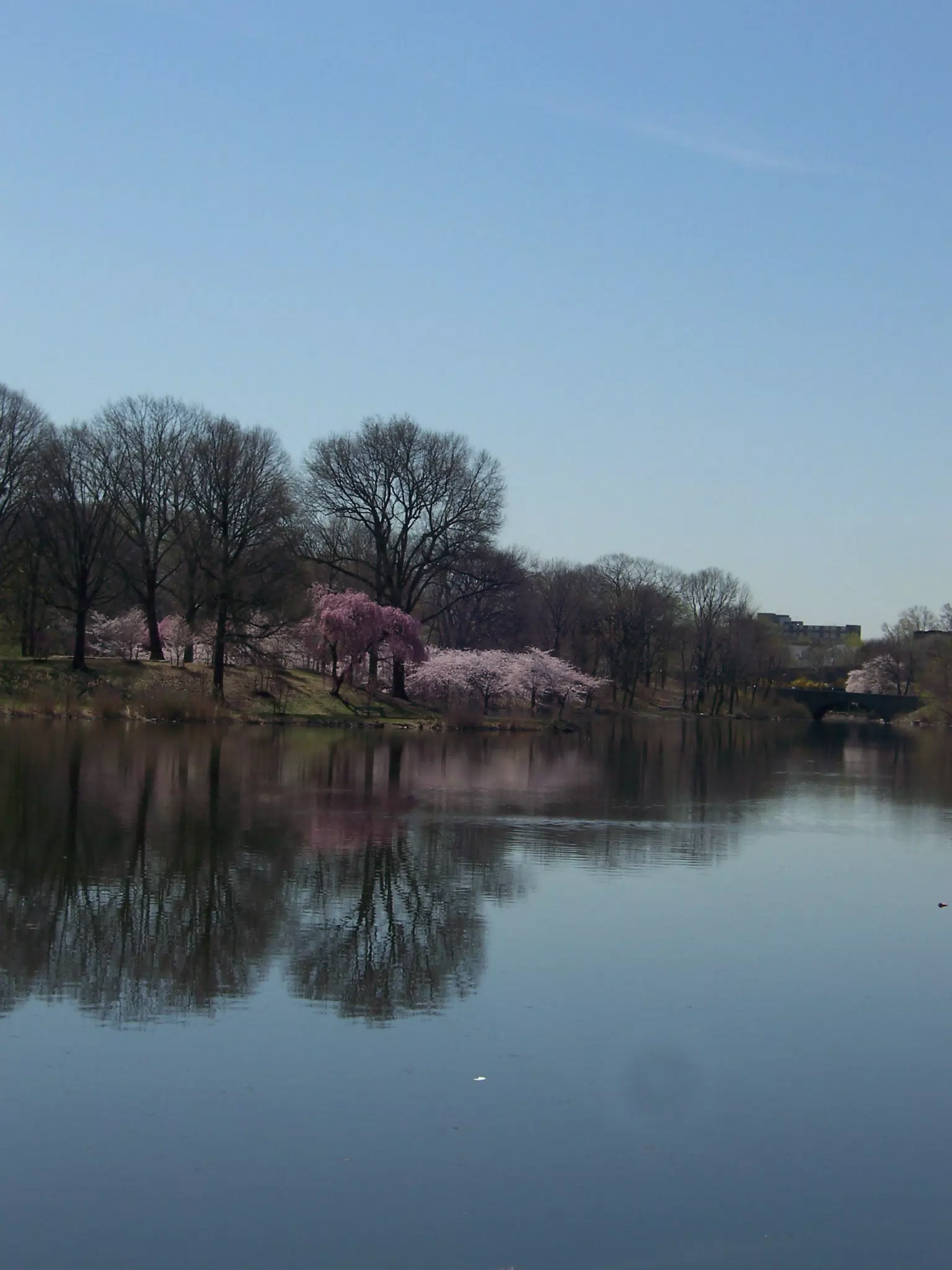Branch Brook Park, Newark, New Jersey