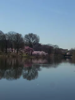 Branch Brook Park, Newark, New Jersey