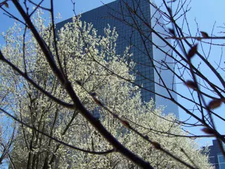 PSE&G Headquarters, Newark, New Jersey