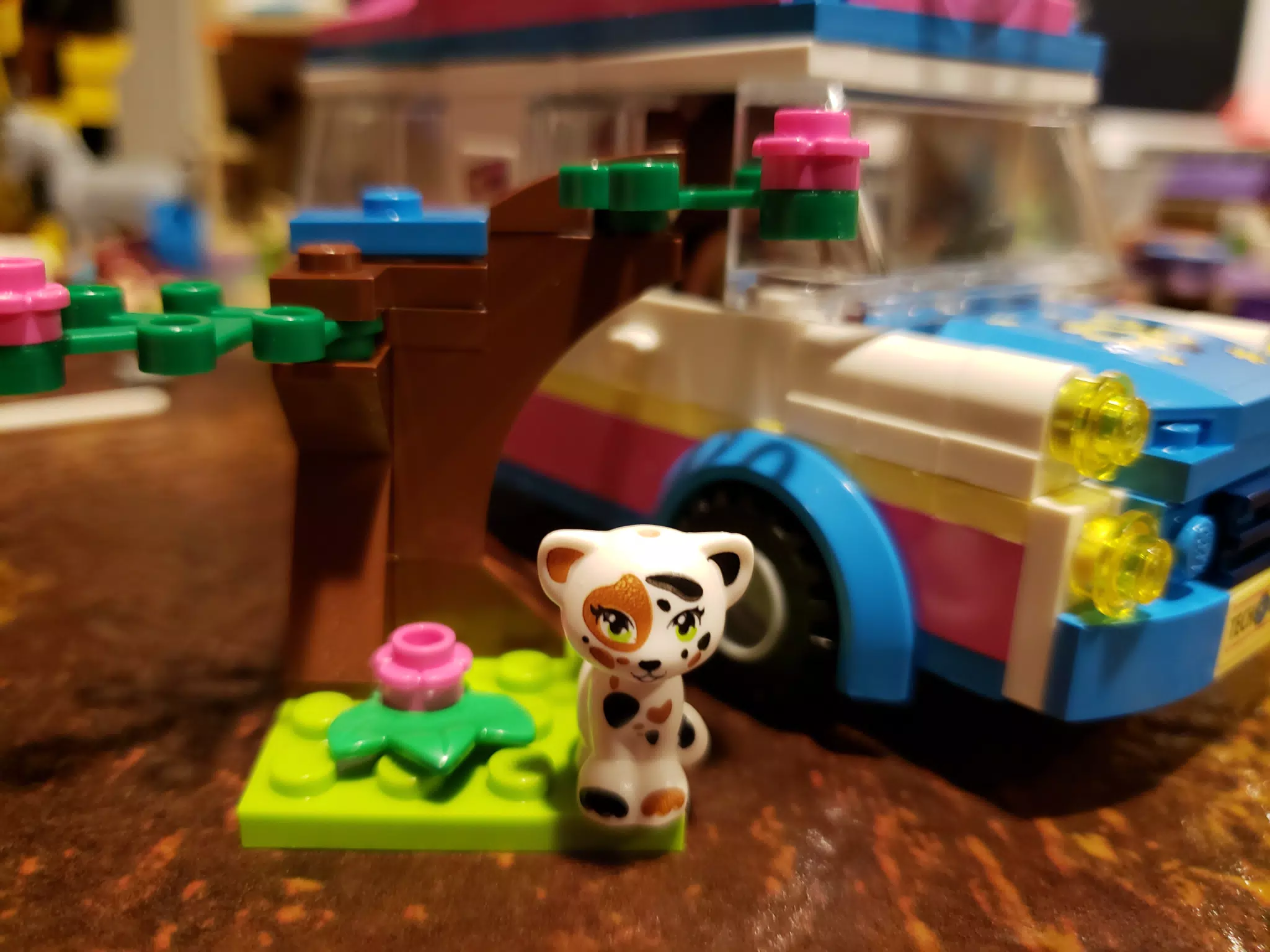 20190215_234950