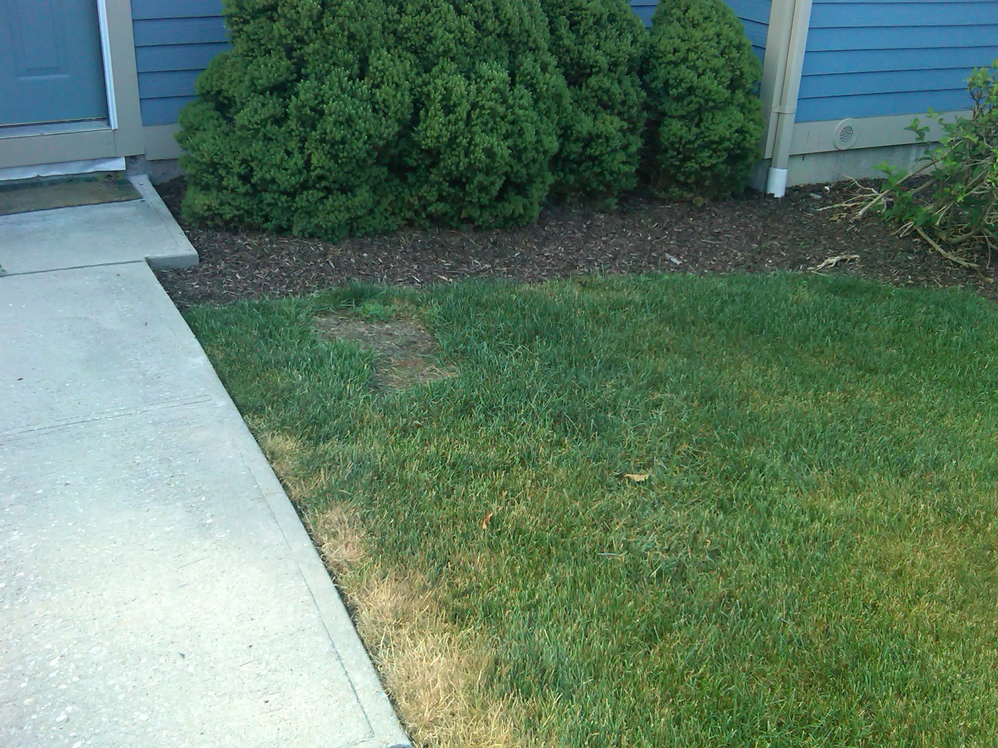 Front lawn recovery