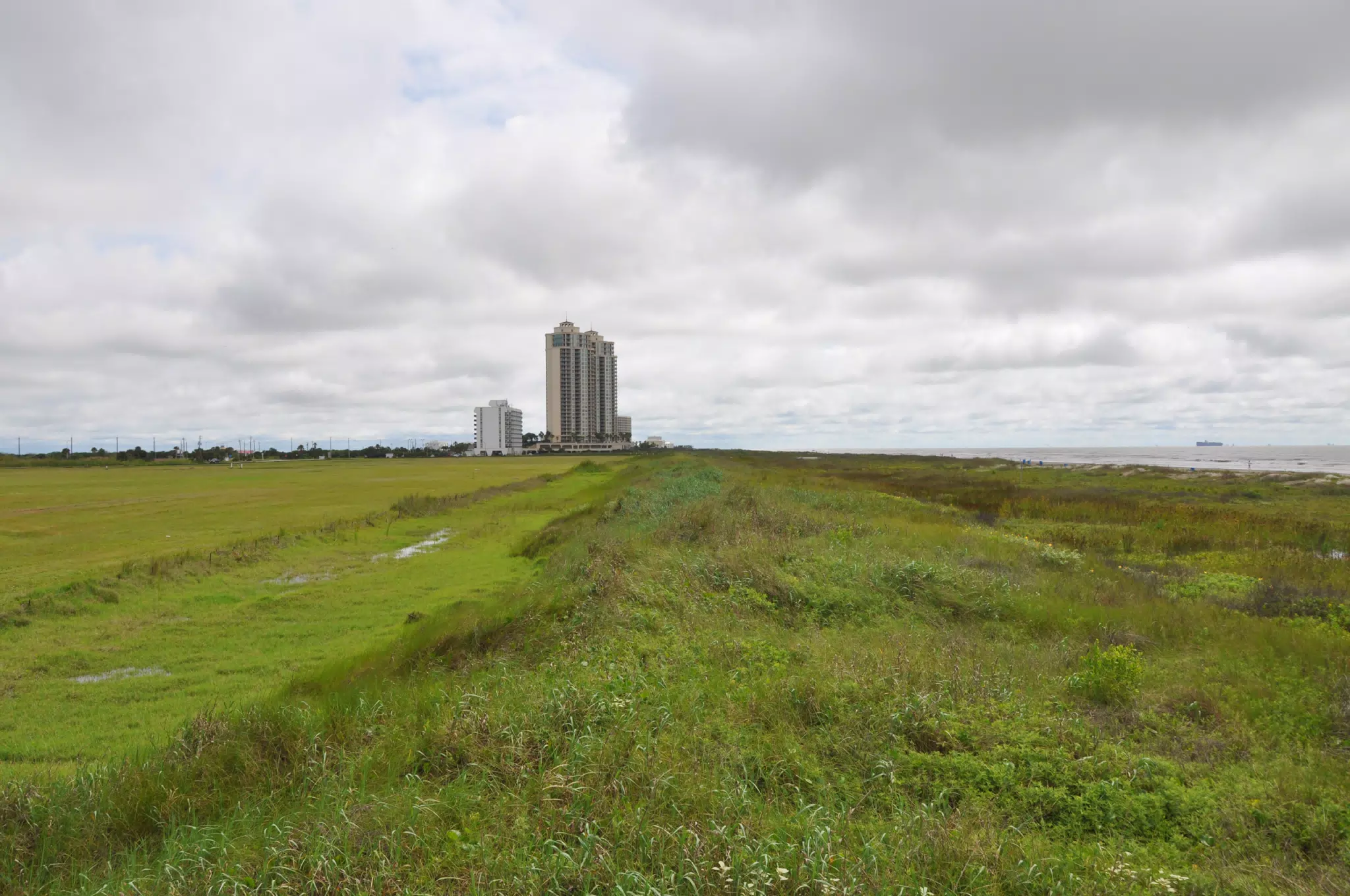 Towers on Galveston