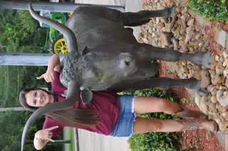 A&M Girl with Longhorn