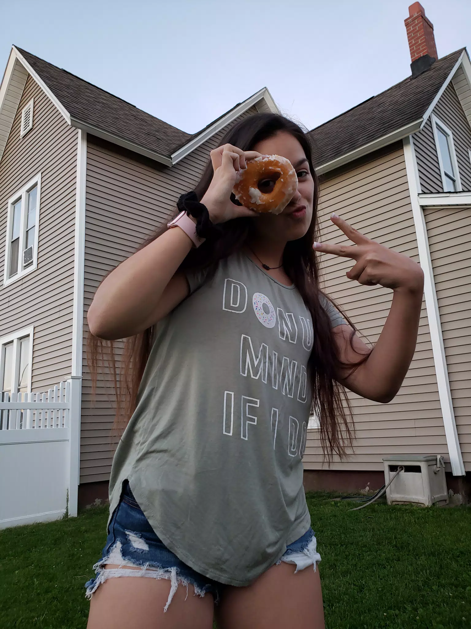 Donut Peace
