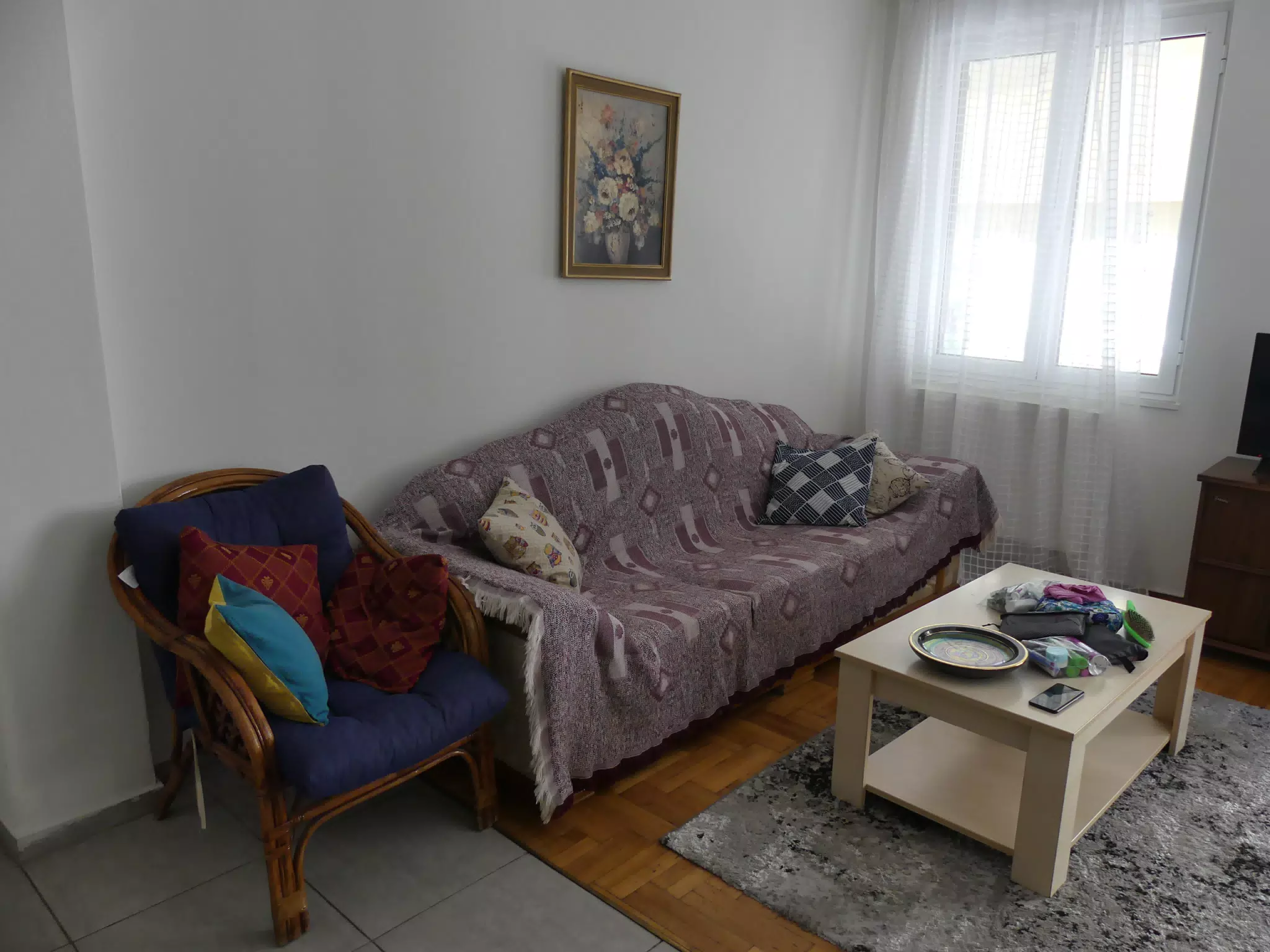 Couch in Our Athens Apartment
