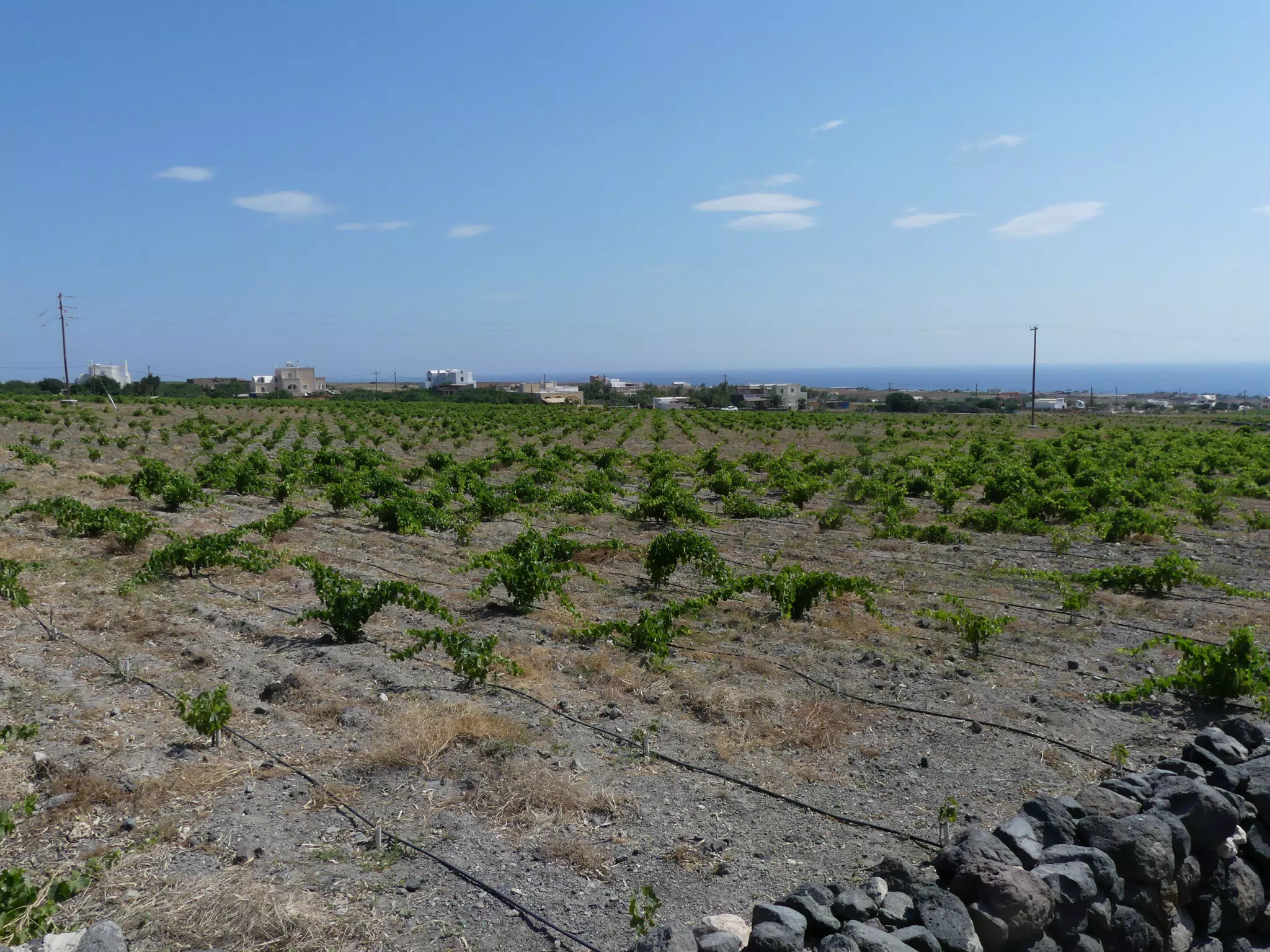 Fields on Santorini