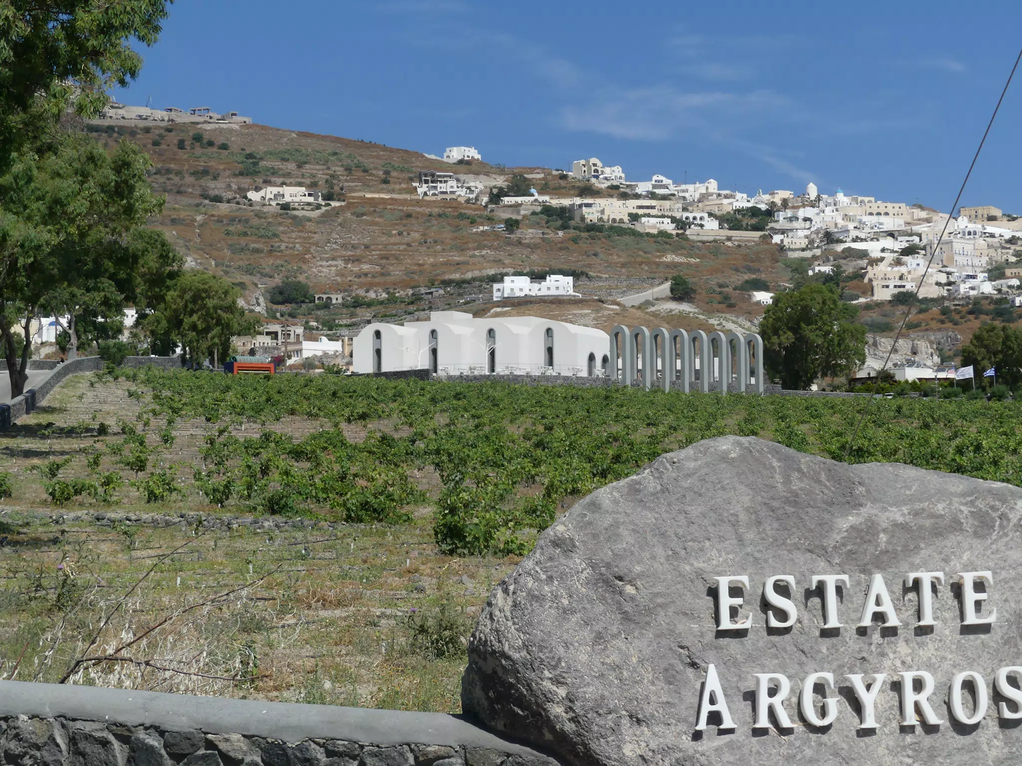 Estate Argyros