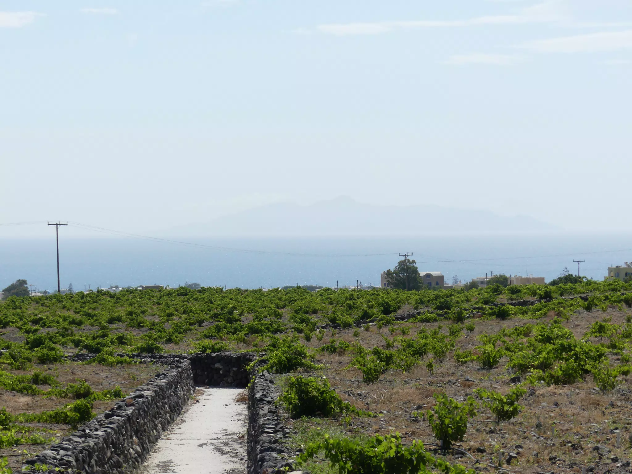 Irrigation on Santorini