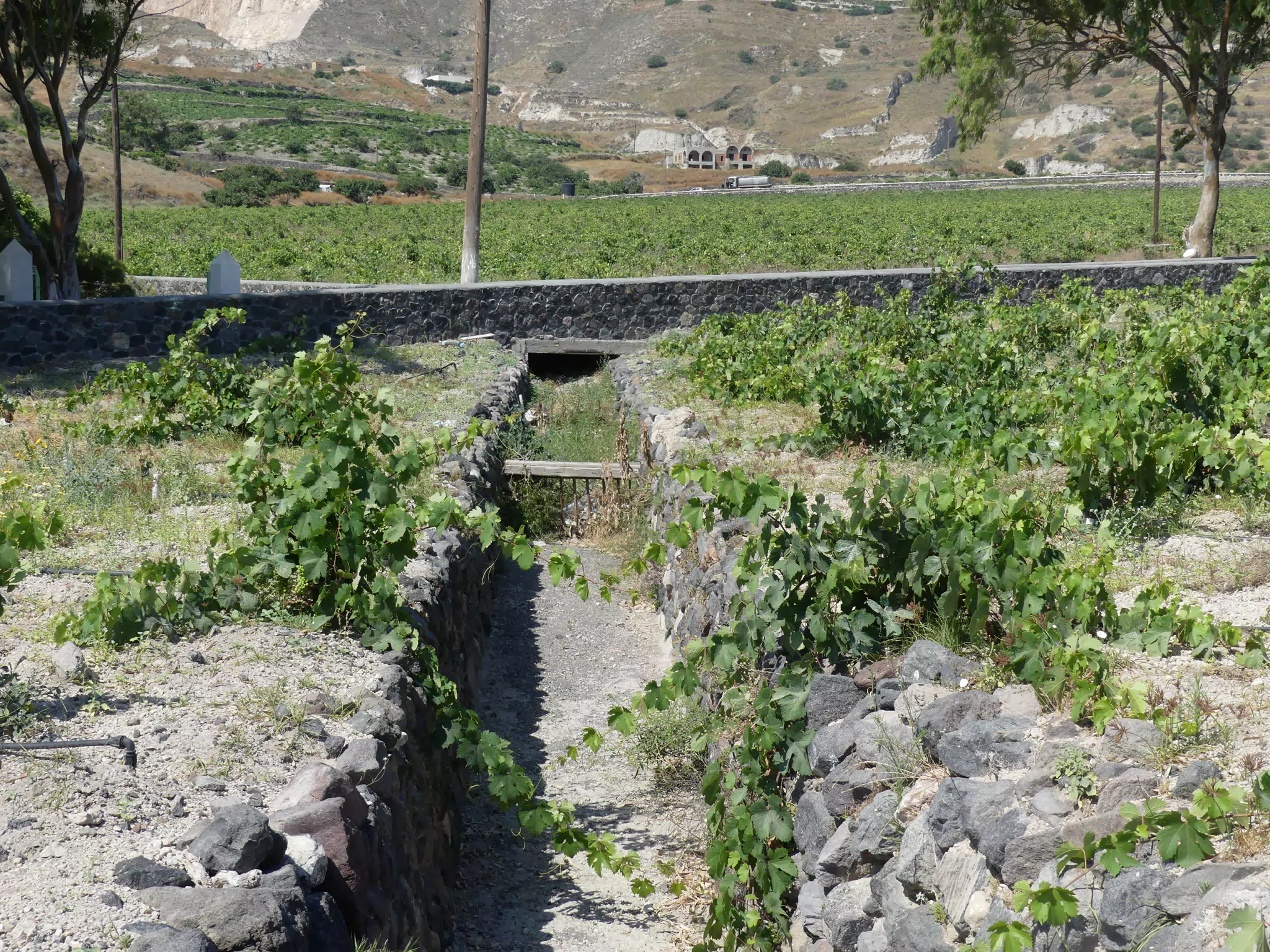 Field Irrigation on Santorini