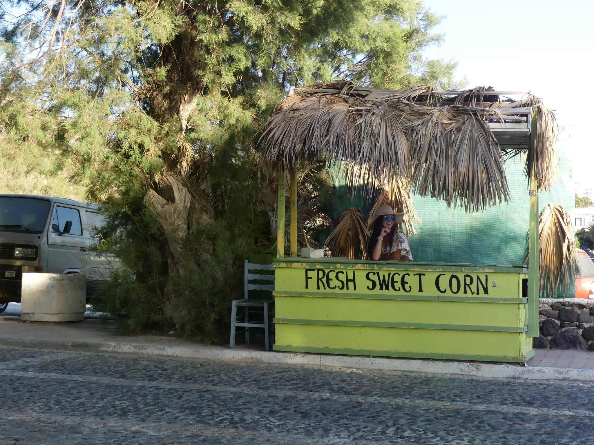 Girl in Sweet Corn Stand
