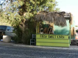Girl in Sweet Corn Stand