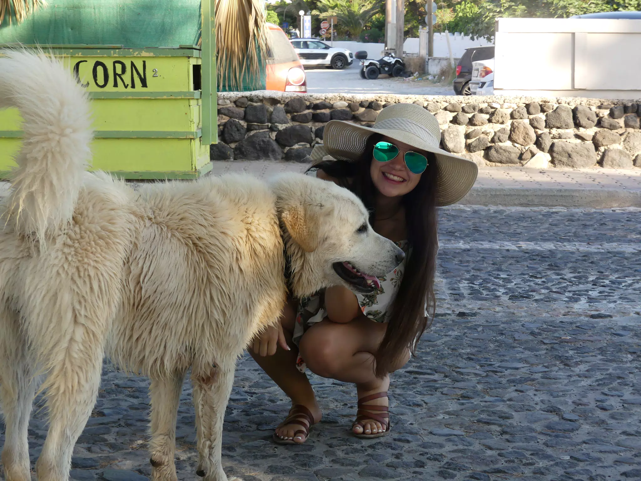 Girl Playing with Street Dog in Kamari