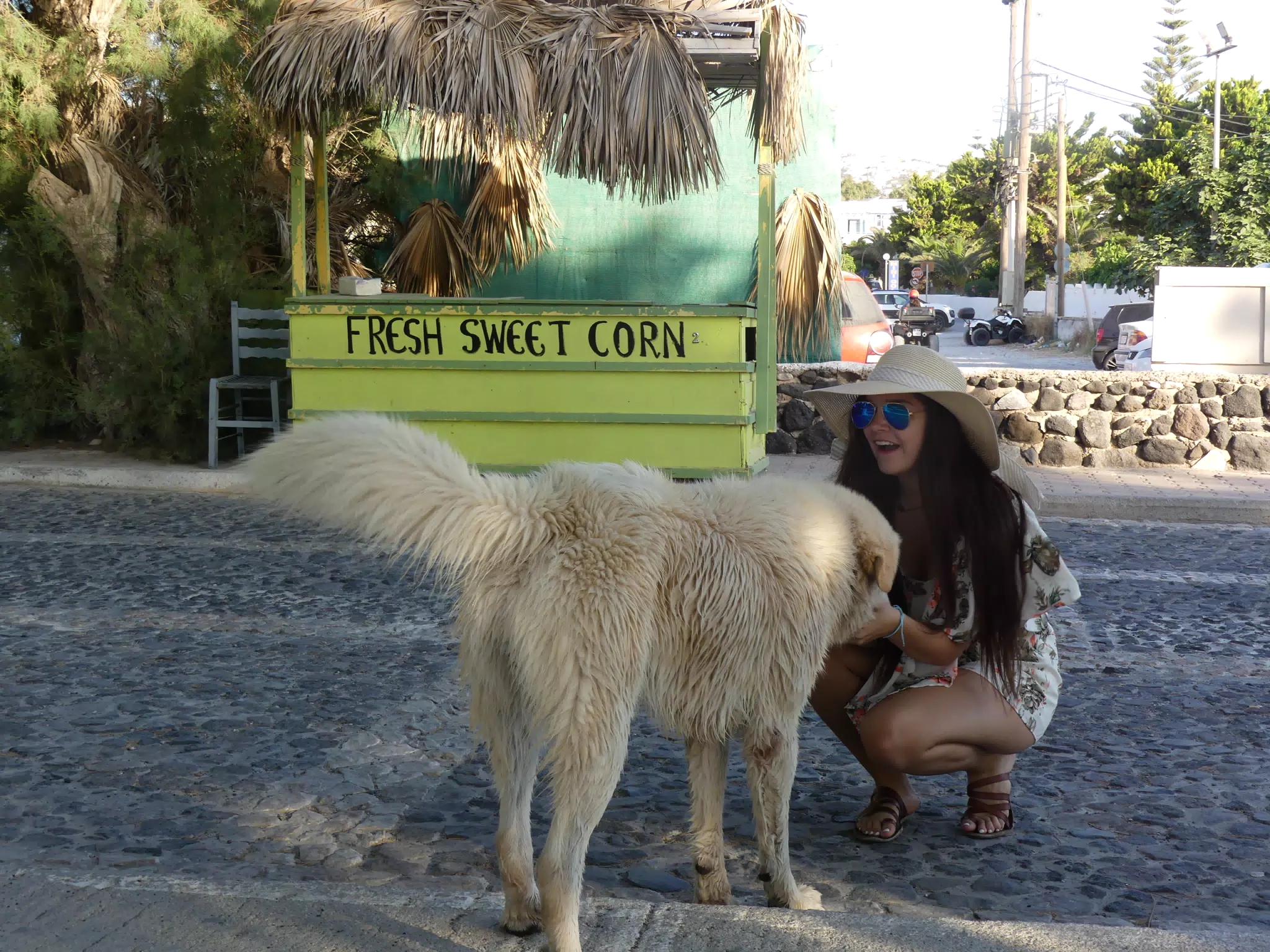 Emily with Beach Dog in Kamari