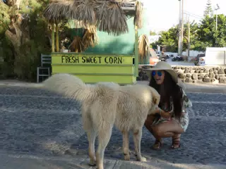 Emily with Beach Dog in Kamari