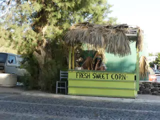 Girl Selling Sweet Corn in Kamari