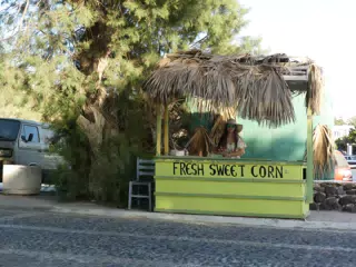 Girl Selling Sweet Corn