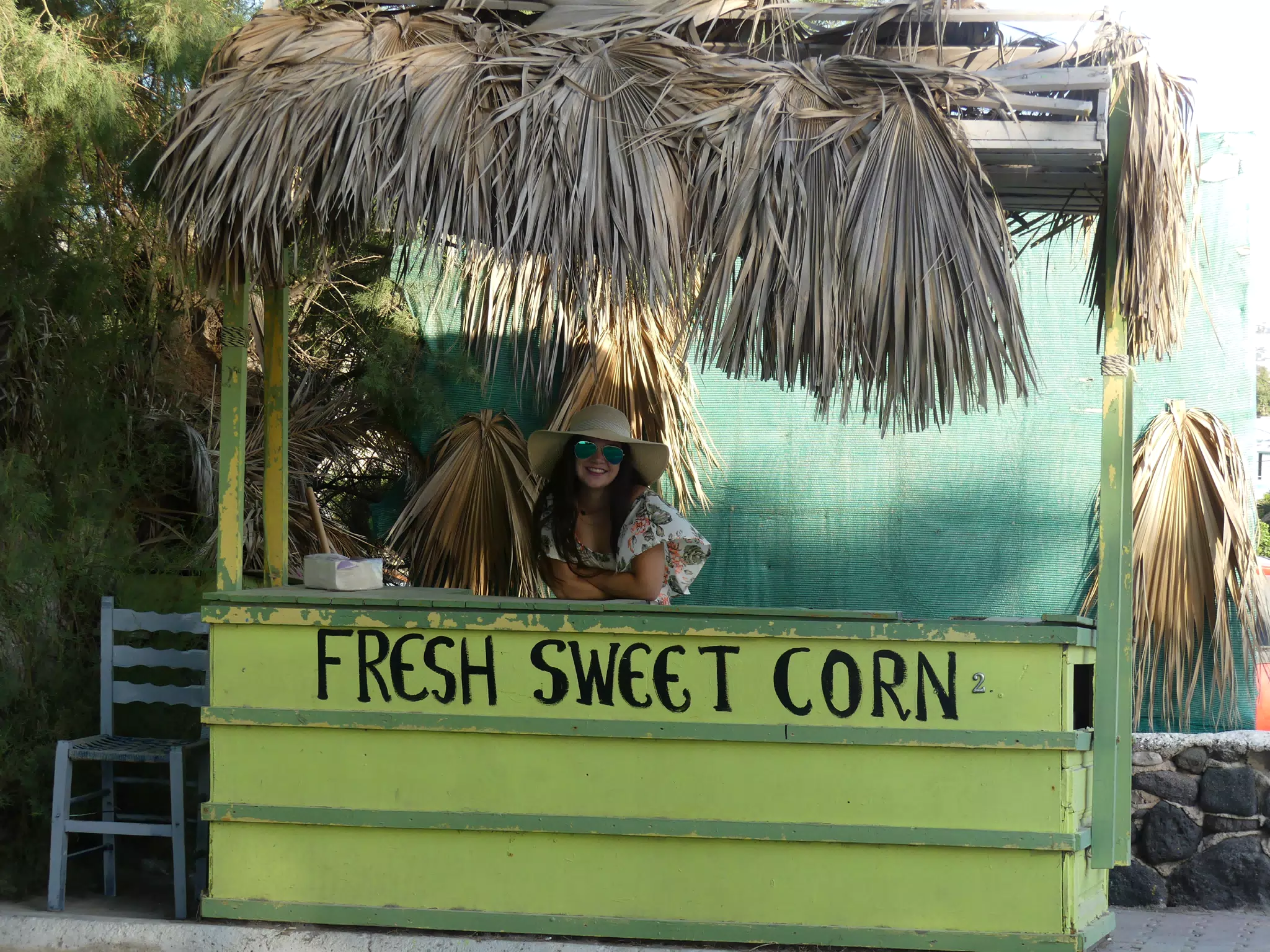 Fresh Sweet Corn