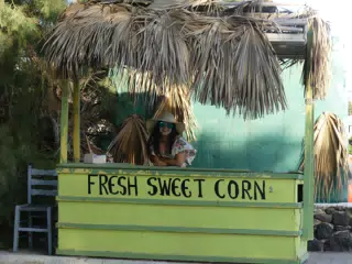 Fresh Sweet Corn