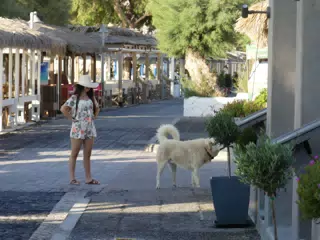 Emily Watching Dog in Greek Street